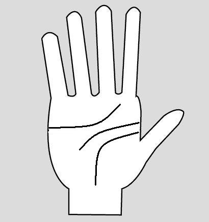 hand palm reading guide