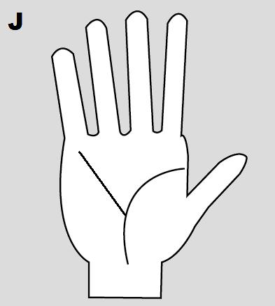 palmistry facts