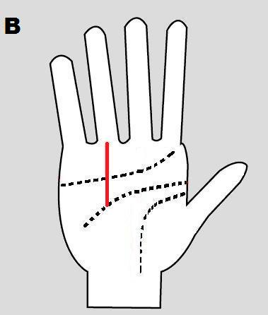 success line in palmistry